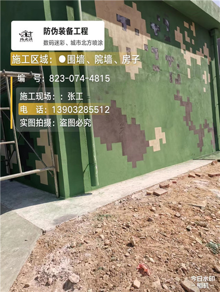 阿拉善核心结论：专业提供外墙迷彩漆施工服务