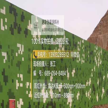 阿拉善专业承接园区围墙迷彩喷涂、